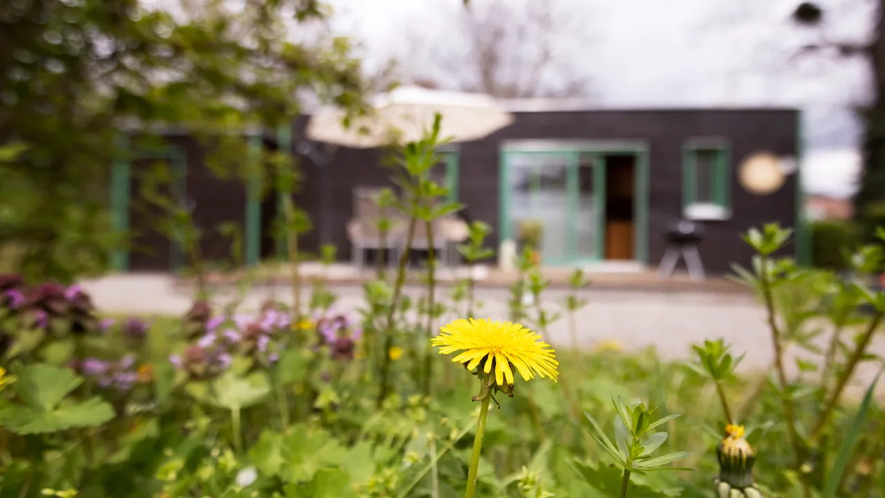 Gemütliches Tiny House im Grünen